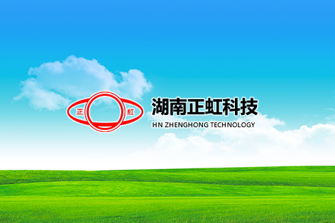 松江区建站-湖南正虹科技